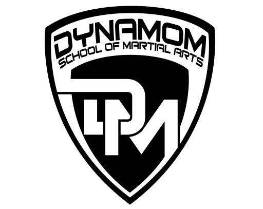 Os Benefícios do treino de sombra para o Boxe, Muay Thai e MMA. – Dynamom
